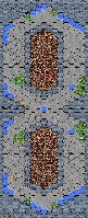 Race_T20W.jpg