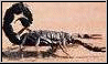 Mercenary General Mercenary General